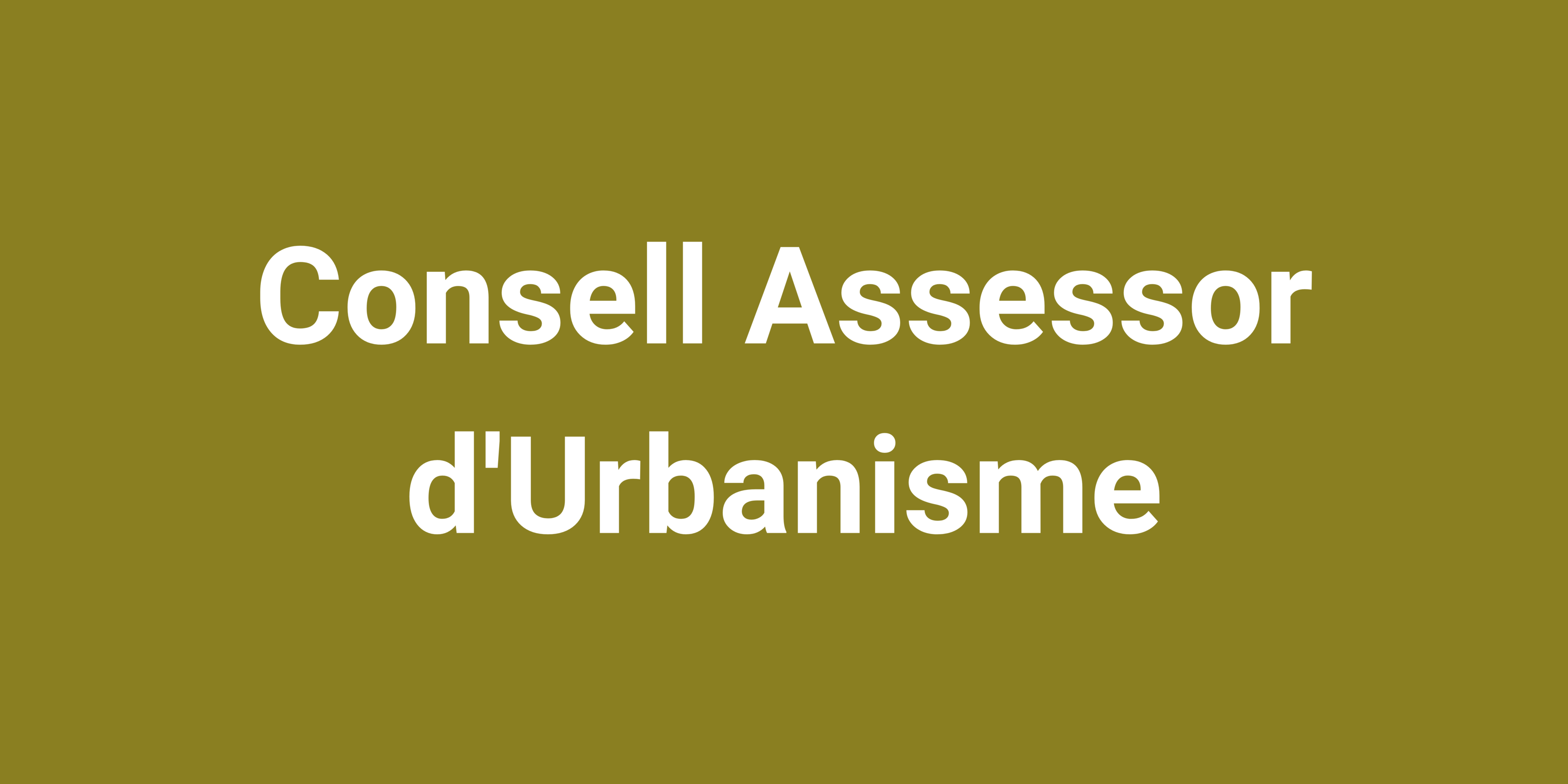Consell Assessor d&#39;Urbanisme