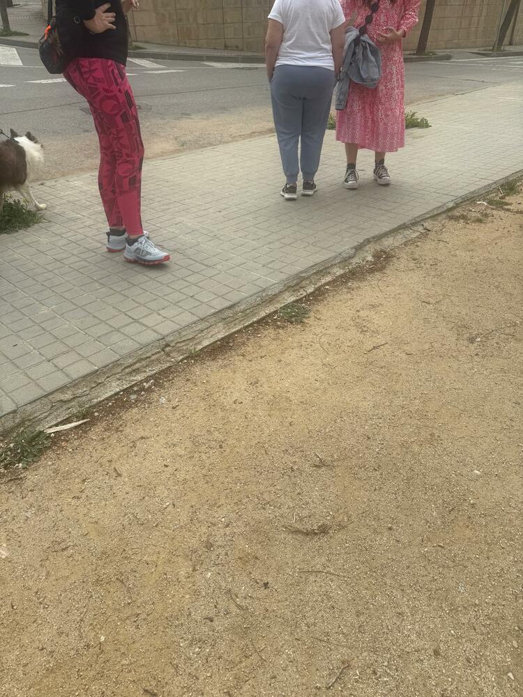 anivellar 2