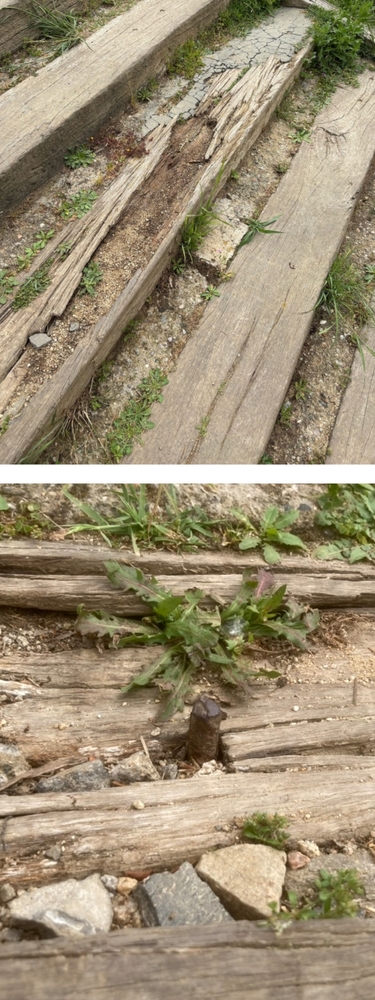 escales 3