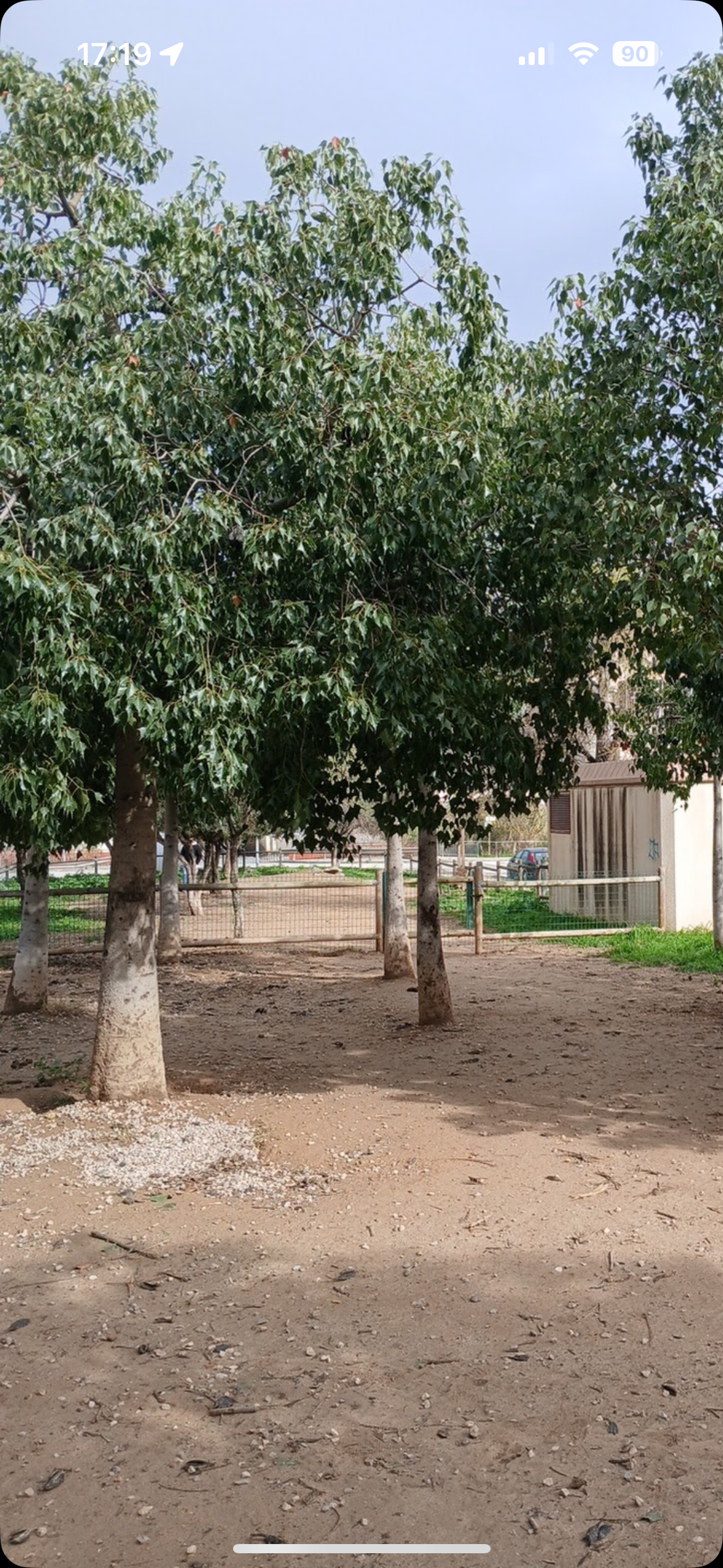 Imatge pels mitjans: Els Pipicans que pugui entrar tothom 