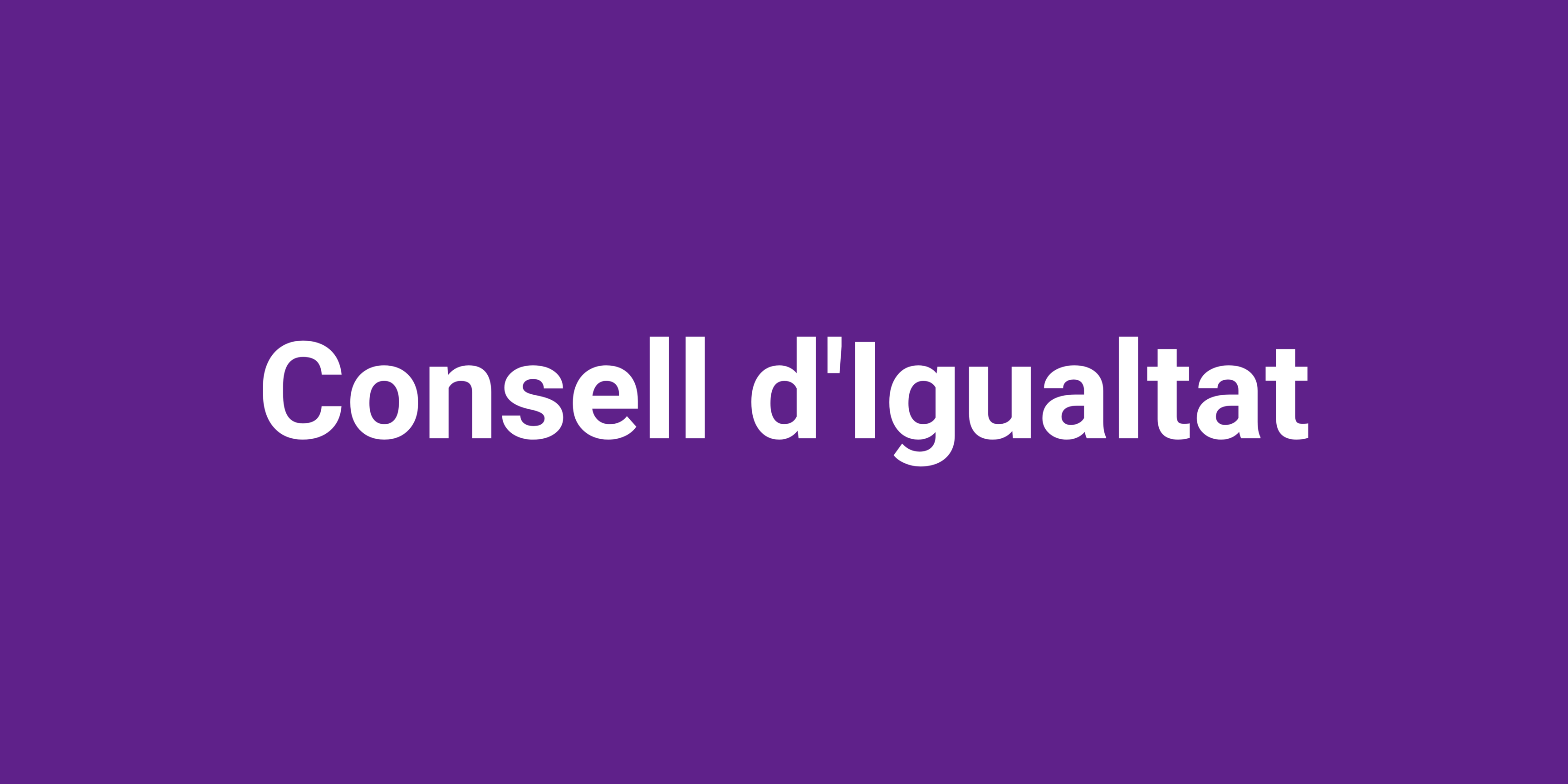 Imagen para los medios: Consell d&#39;Igualtat