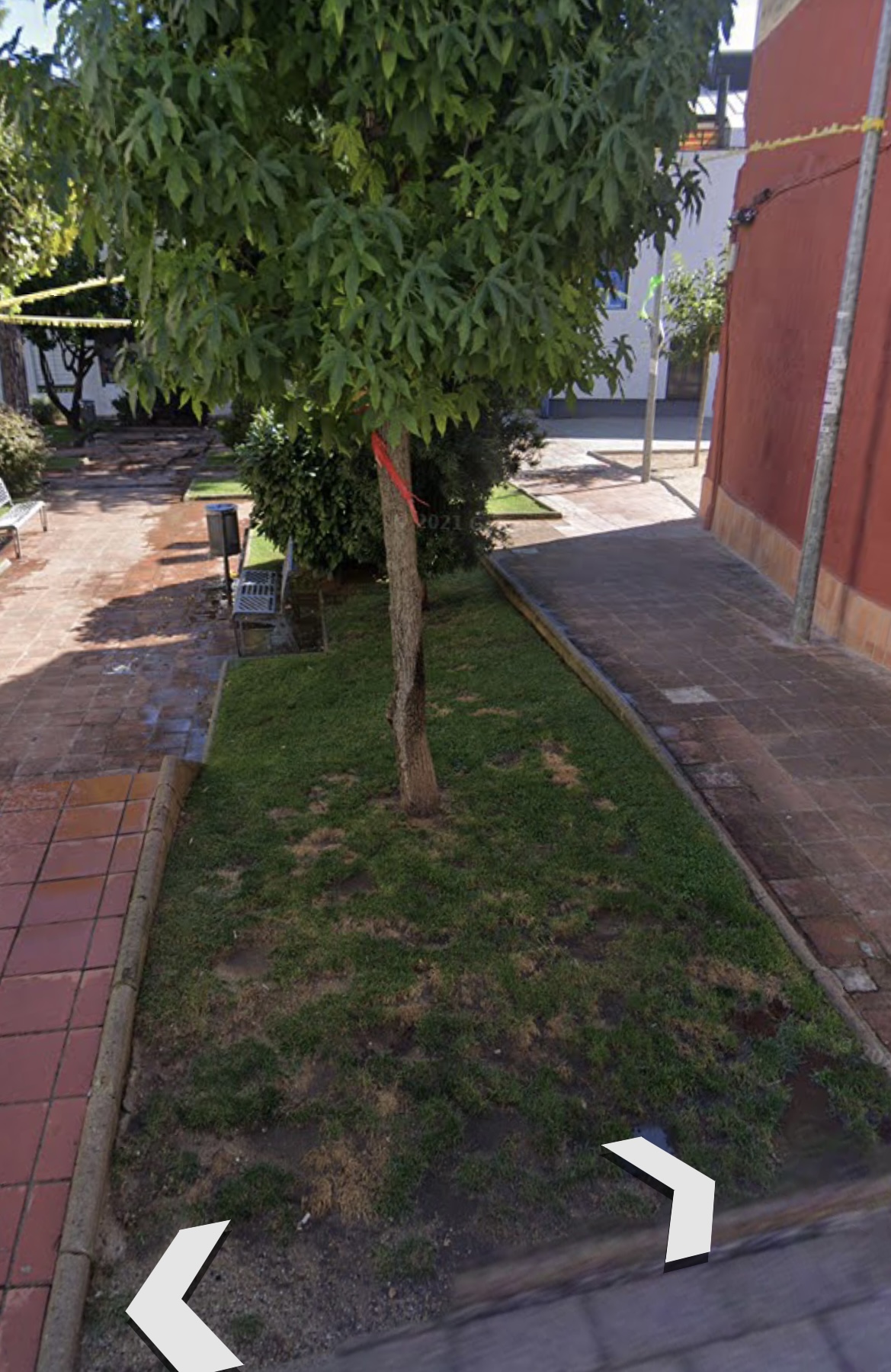 Imatge pels mitjans: Crear un jardí de plantes medicinals i aromàtiques comunitari del centre vila.