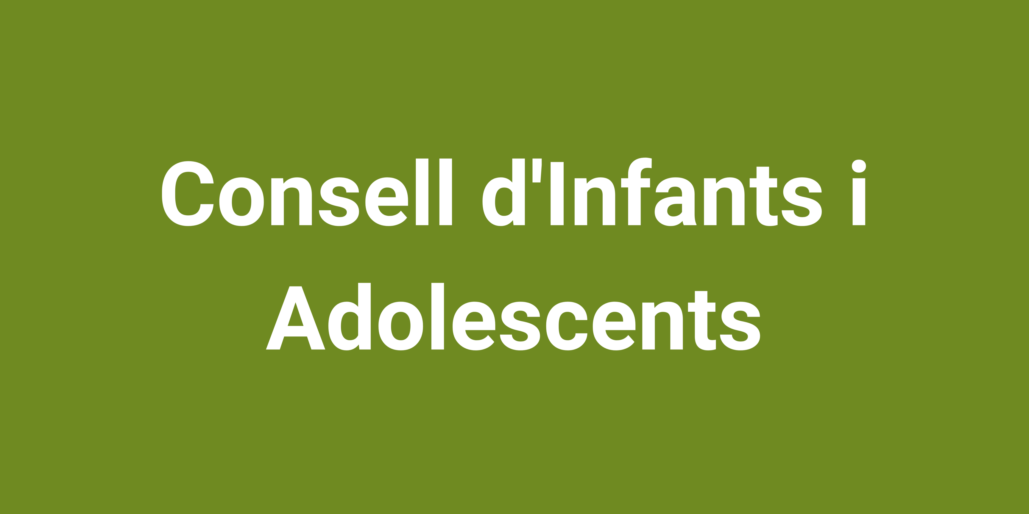 Imagen para los medios: Consell dels Infants