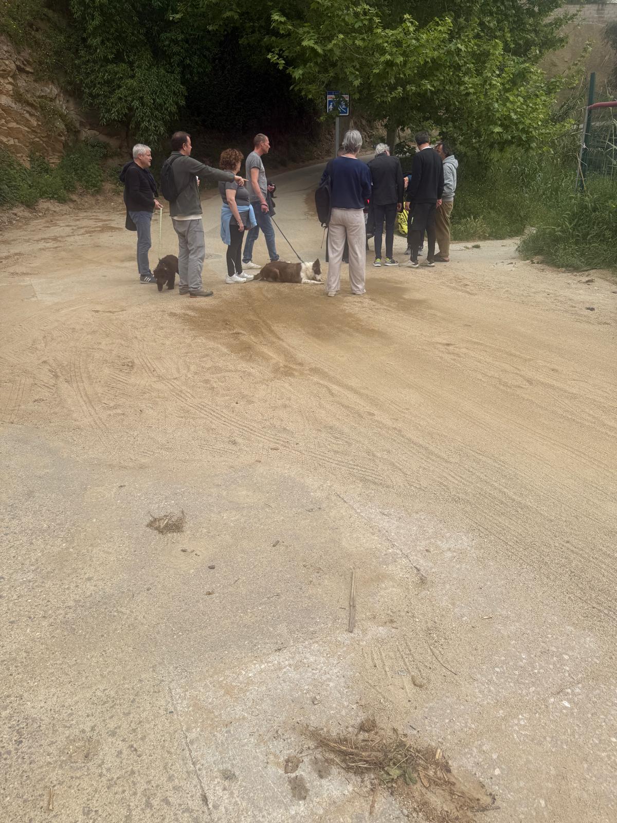 Imatge pels mitjans: Mantenir sense sorra el gir del Camí Mig d'Alella