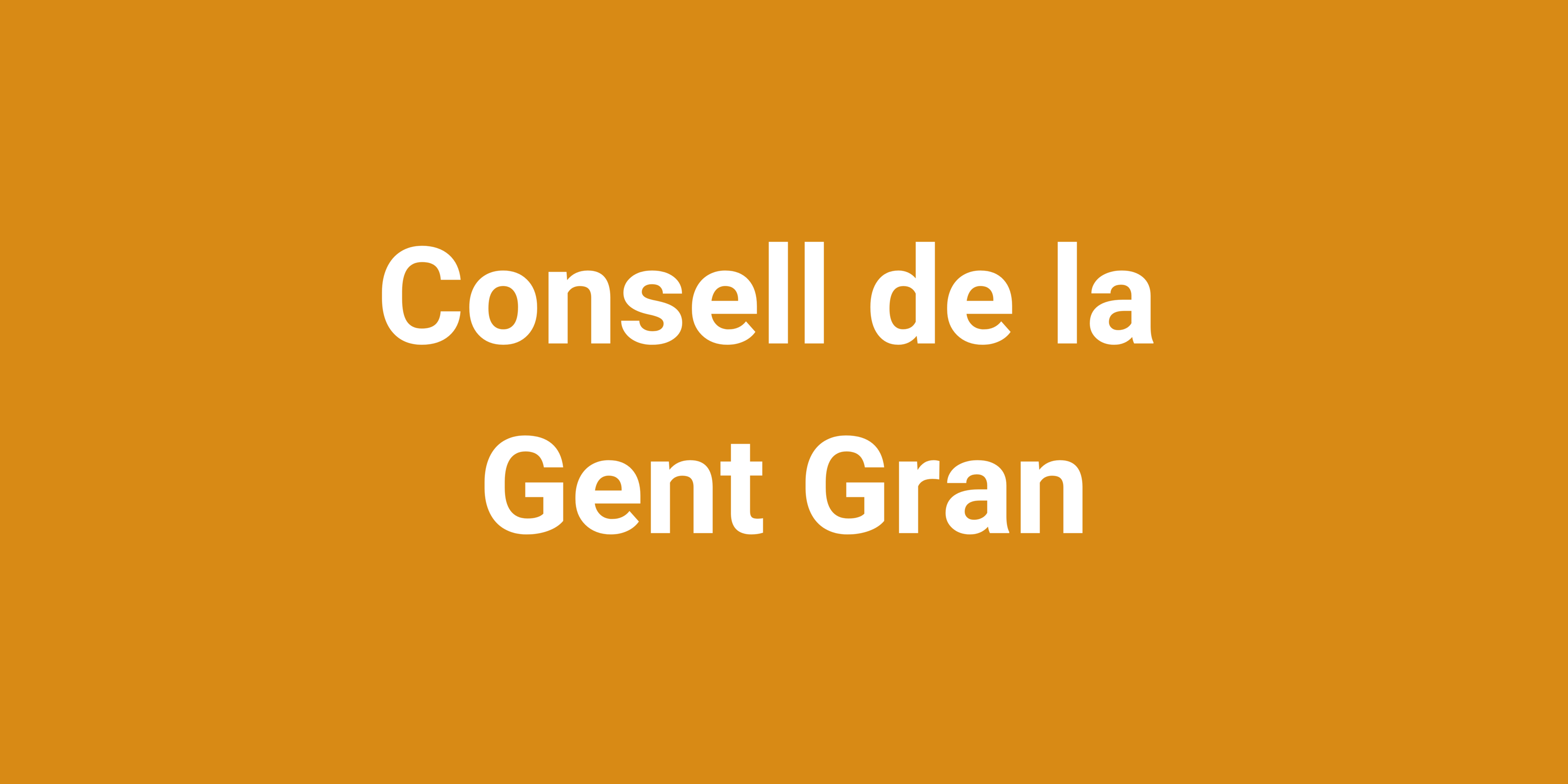 Imatge pels mitjans: Consell de les Persones Grans