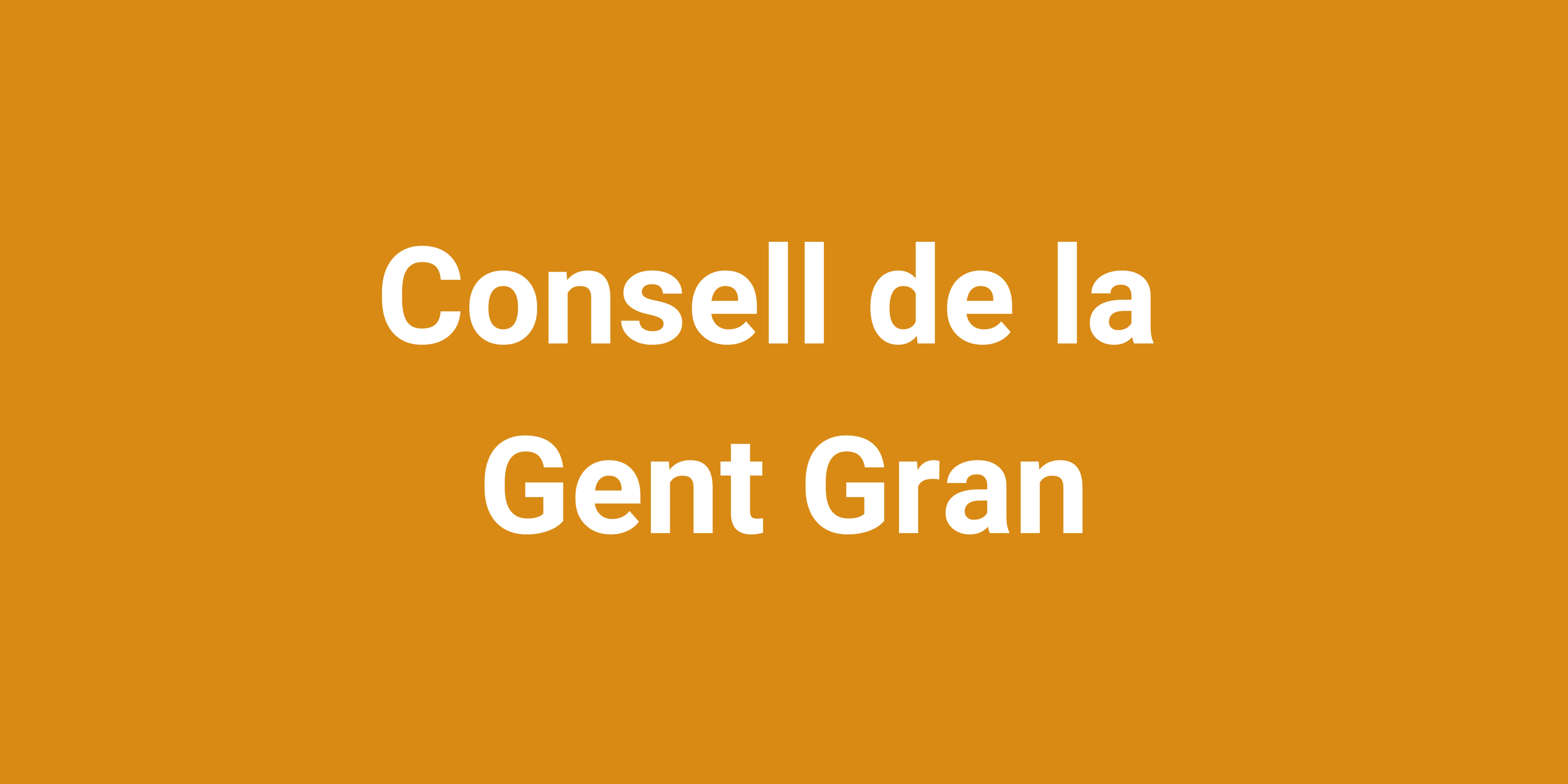 Media picture: Consell de les Persones Grans