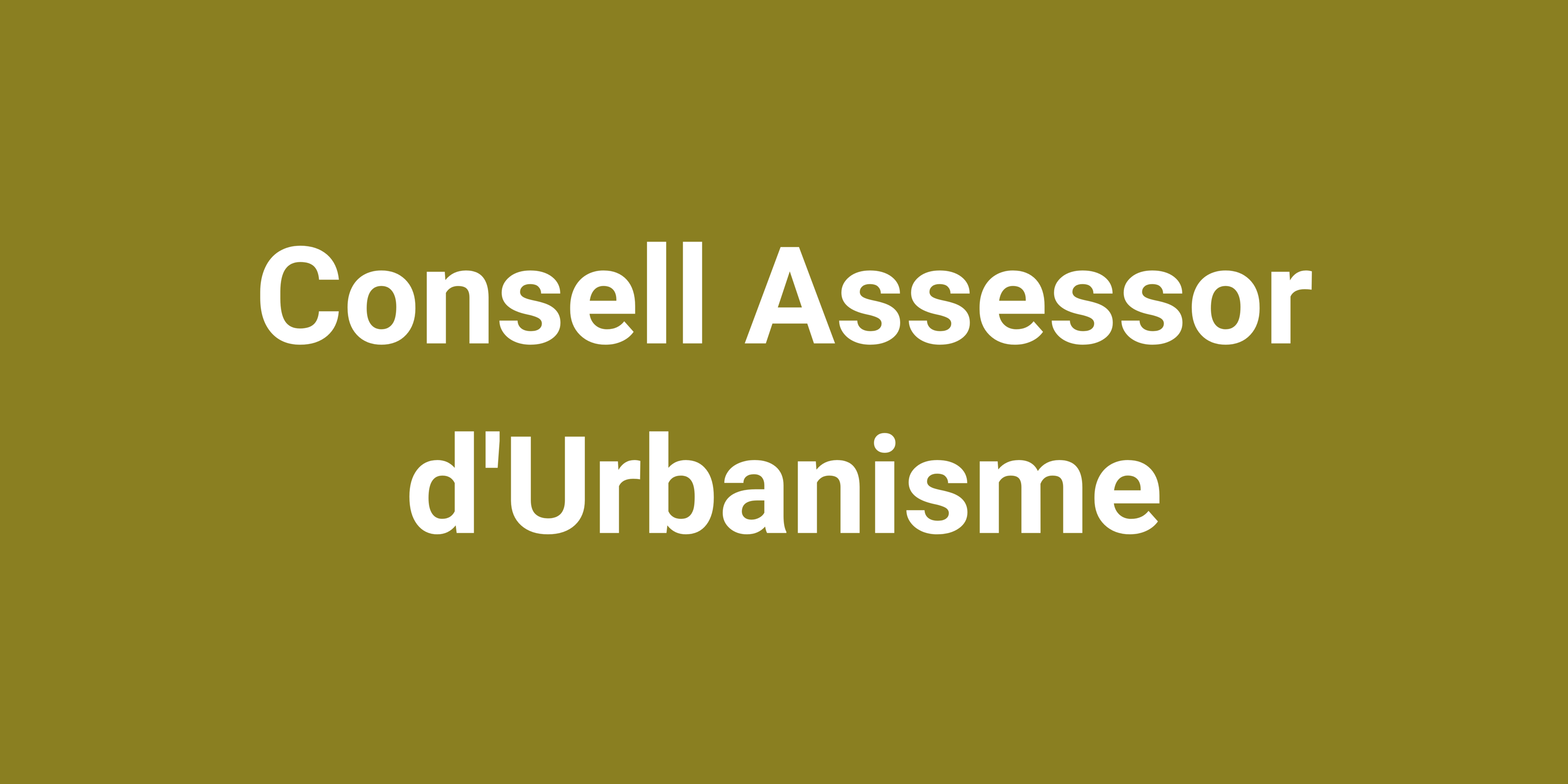 Imatge pels mitjans: Consell Assessor d&#39;Urbanisme