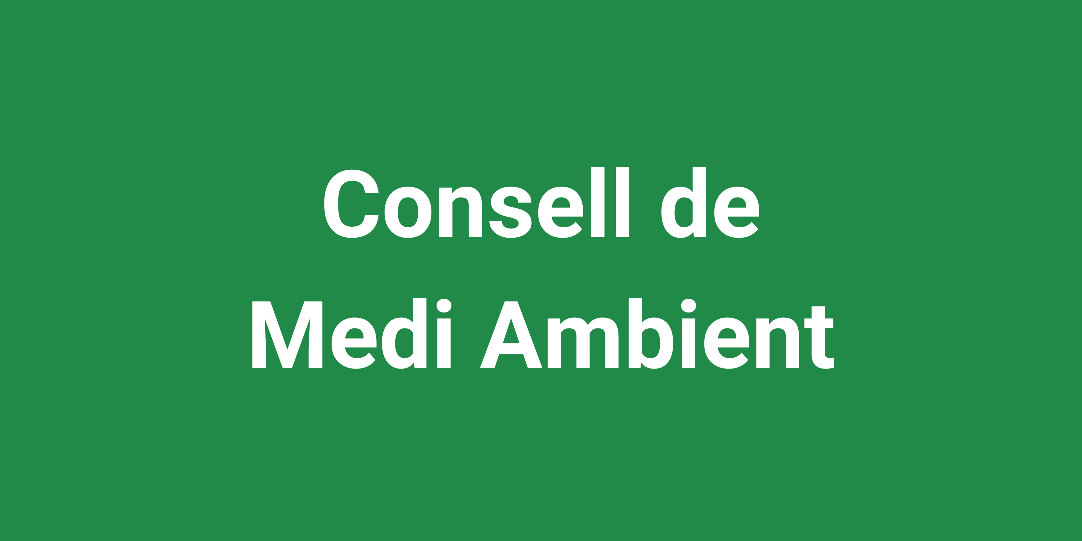 Imatge pels mitjans: Consell de Medi Ambient i Sostenibilitat